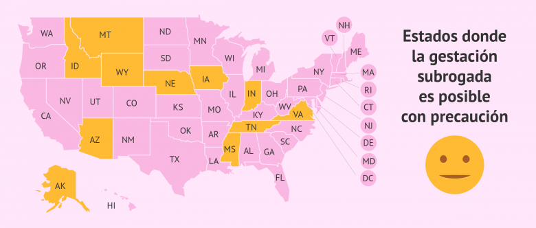 Gestación subrogada en Estados Unidos precio legislación y requisitos