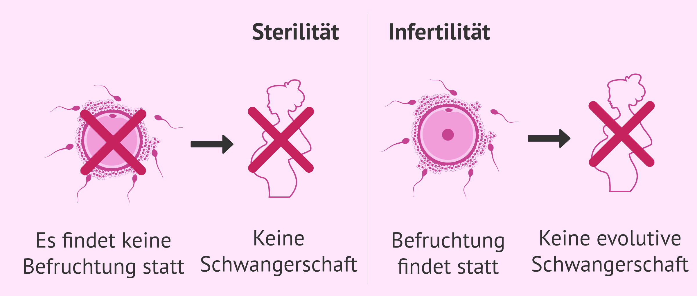 Sterilität und Infertilität