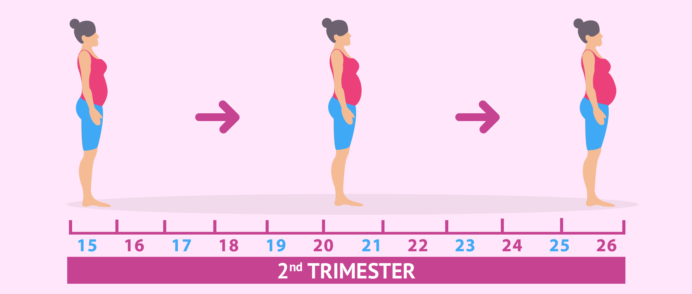 The Second Trimester Of Pregnancy