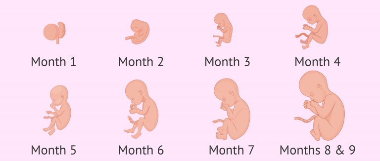 1st Month Baby Development: A Guide for New Parents