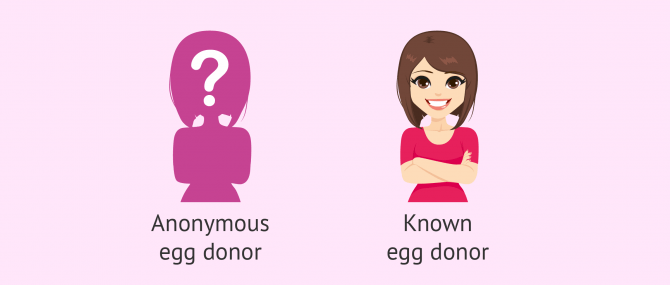 Egg donation in Russia