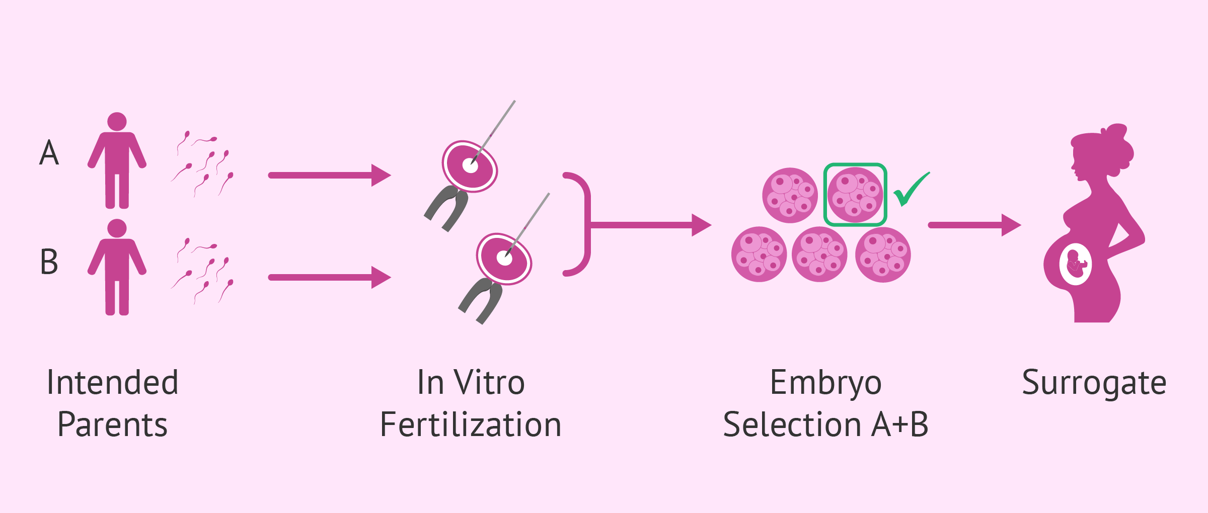 Gay Couple Embryos Transfer