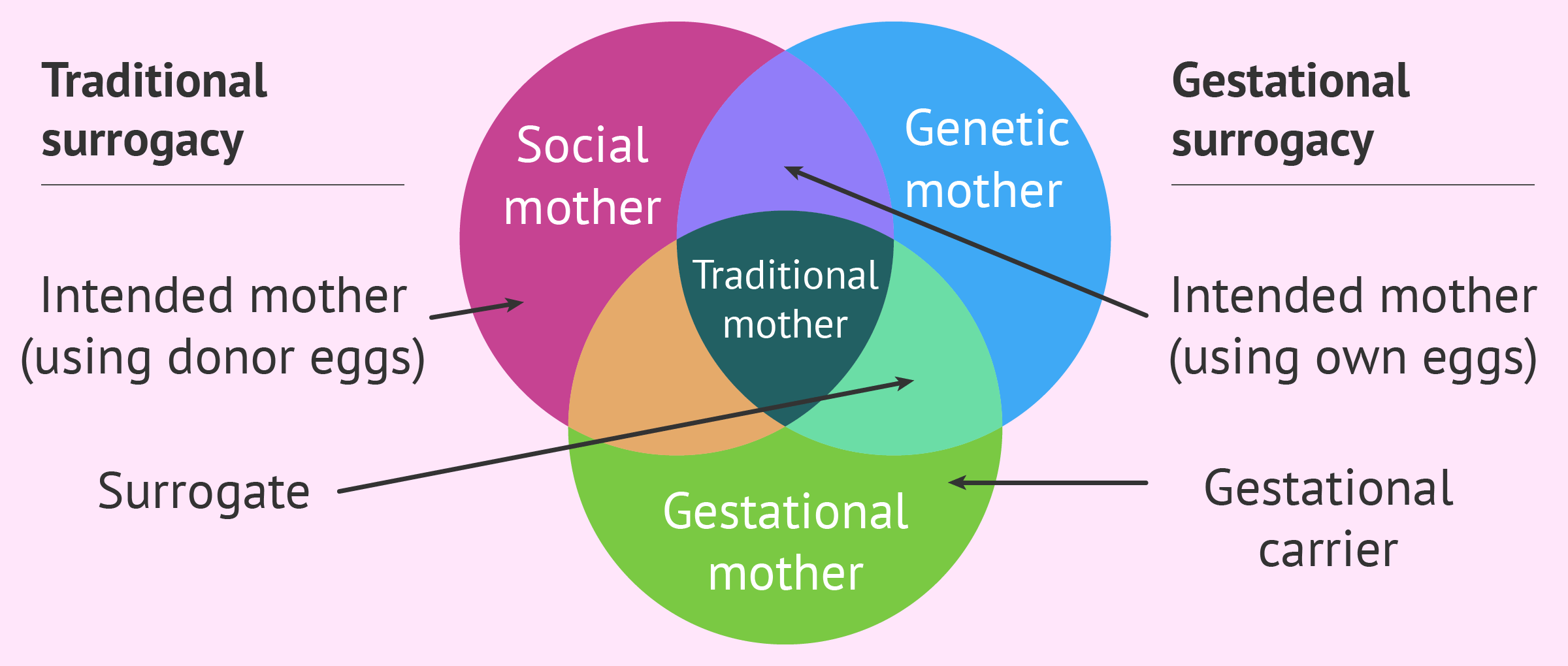 Surrogacy types and the redefinition of motherhood