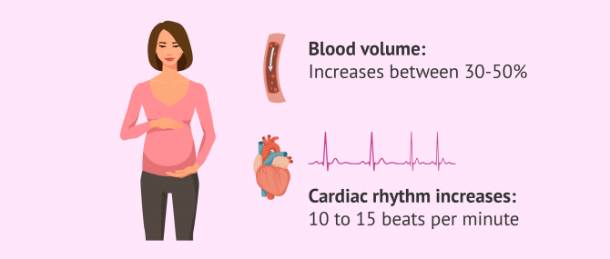 Imagen: cardiovascular changes and pregnancy