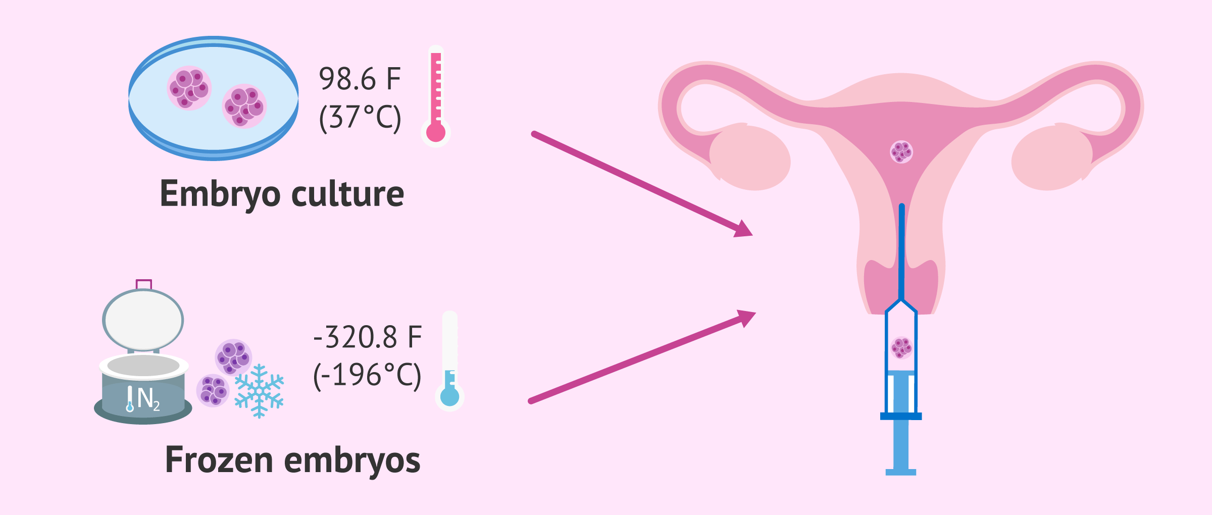 Frontiers  Luteal phase support in fresh and frozen embryo transfers