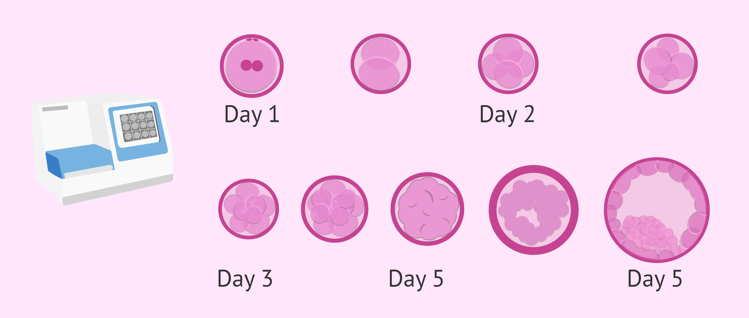 Time-Lapse embryo selection