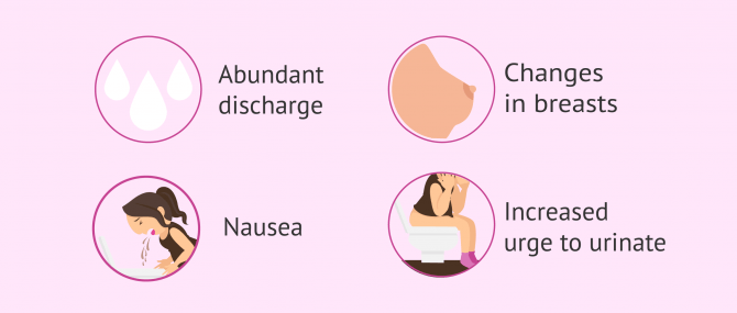 Imagen: Symptoms after embryo transfer
