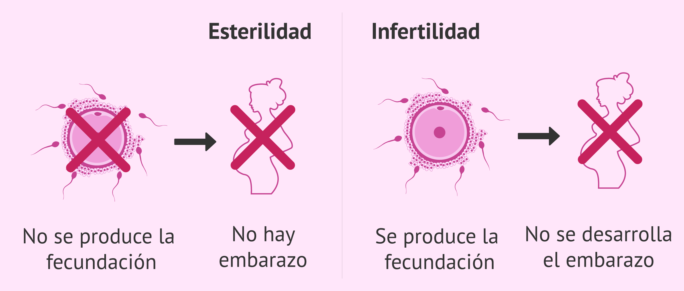 Diferencias entre esterilidad e infertilidad