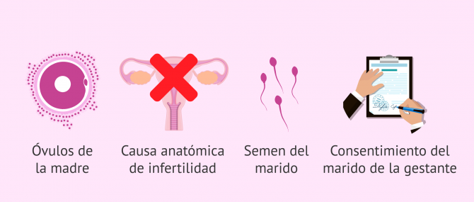 Imagen: Requisitos para la gestación subrogada en Zlin