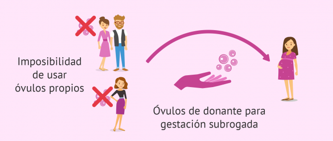 Si la mujer no puede aportar los óvulos se pueden utilizar los de una donante