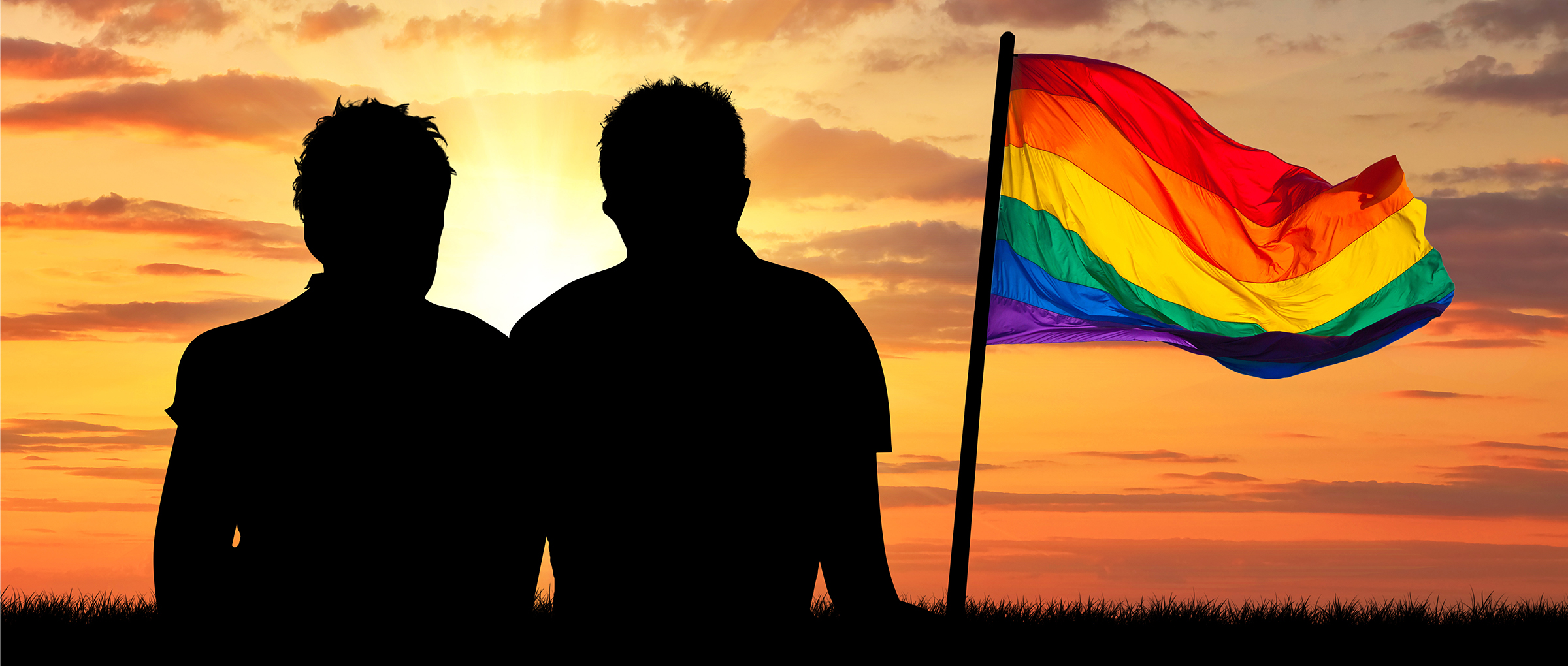 Acceso de las parejas homosexuales a la gestación subrogada
