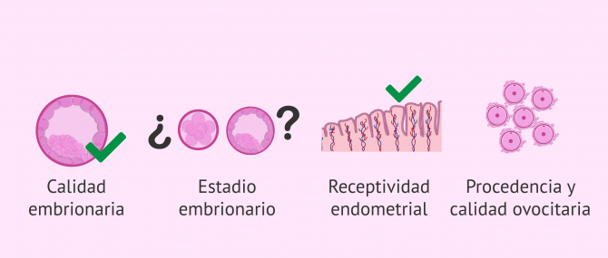 Imagen: ¿Cómo decidir el número de embriones?