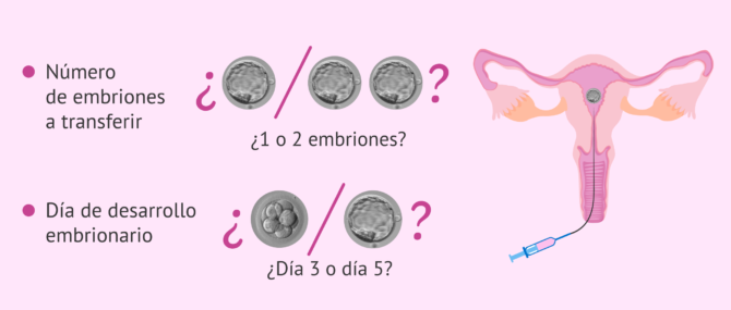 Imagen: Transferencia de embriones en gestación subrogada