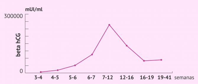 Imagen: Valores de la beta hCG según el momento