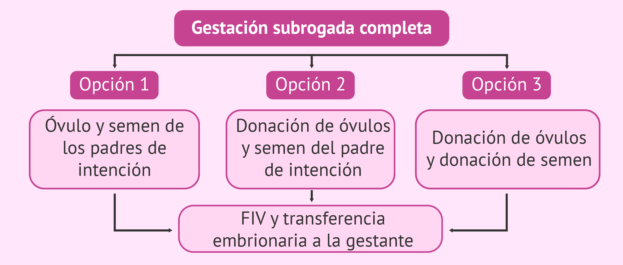 Combinaciones posibles en gestación subrogada completa
