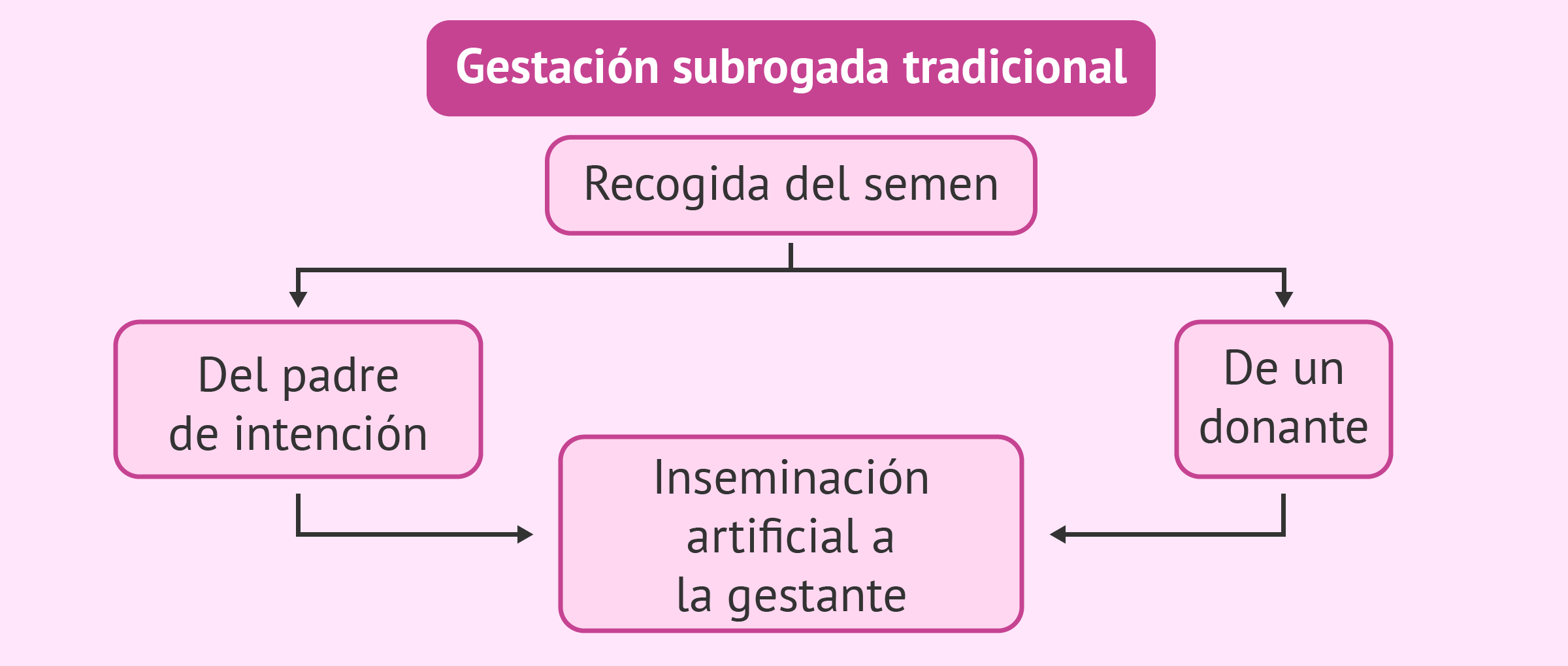 Combinaciones posibles en gestación subrogada tradicional