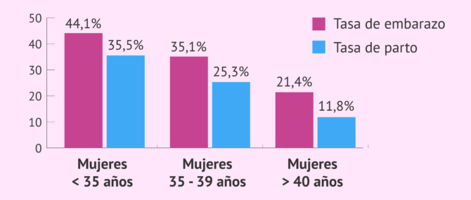 Imagen: tasa-exito-embarazo-parto-icsi-grafico