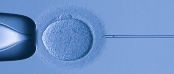 Obtenir les embryons