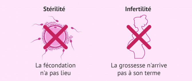 Imagen: La différence entre stérilité et infertilité